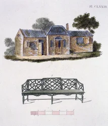Illustratie uit het Magazine of Garden Gems door G Van Laar, 1802