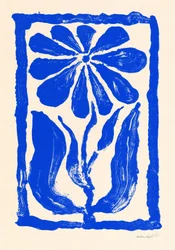 Blauwe bloei