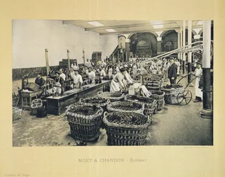 Champagne bottelen, uit La France Vinicole, uitgegeven door Moet & Chandon, Epernay