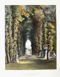 Vista in de tuinen van Teddesley, zetel van de Eerwaarde Heer Hatherton, 1857