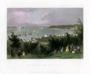The Narrows gezien vanaf Staten Island, New York, VS