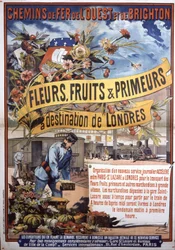 Transport per trein van Parijs naar Londen, eind 19e eeuw (poster)