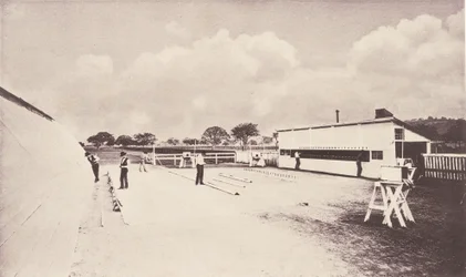 Het Paard in Beweging zoals Getoond door Ogenblikkelijke Fotografie. Met een Studie over Dieren..., 1881-1882