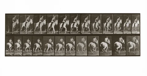Galopperend paard met ruiter, Plaat 635 uit Animal Locomotion, 1887