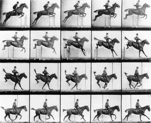 Man en paard springen, uit 