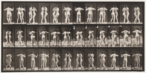Plaat 196. Wals Dansen, Twee Modellen