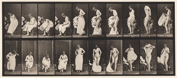 Plaat 498. Diverse fasen van de toilet, 1872-1885