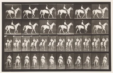 Lopen; Zadel; Wit Paard Elberon, 1885
