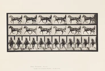 Plaat 595. Schommelen (Pacing): Sulky; Bruin Paard Pronto