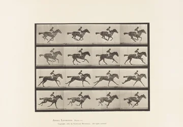 Plaat 626. Galop; Volbloed Bruine Merrie Annie G.