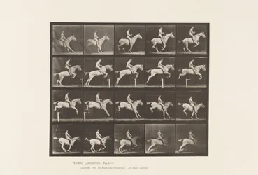 Plaat 642. Over een hindernis springen; Zadel; Ruiter, 105, Naakt; Grijze merrie, 1885