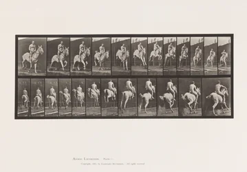 Plaat 646. Springen over een hindernis; Zadel; Ruiter, 105, Naakt;, 1885