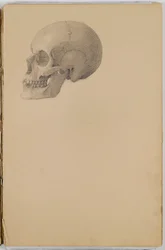 Anatomie Schetsboek, 1849