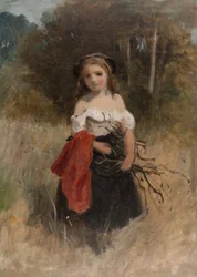 Brandhout Verzamelen