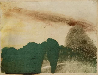 Bos in de Bergen, ca. 1890