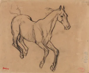 Galopperend paard