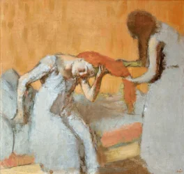 Het kapsel