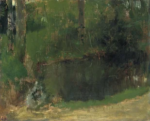 De Vijver in het Bos