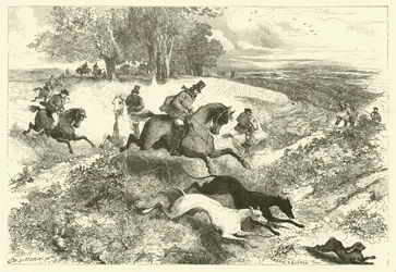 Hazencoursing in Engeland