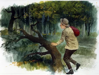 Kinderliteratuur: van de Apennijnen tot de Andes. Een jonge jongen alleen in het bos