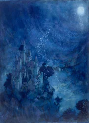 Nocturnale Spitsen