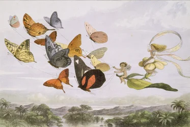 In Fairyland: Een serie afbeeldingen uit de elfenwereld