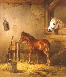 Merrie en veulen in een stal