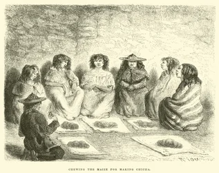 Het kauwen van maïs voor het maken van Chicha (gravure)