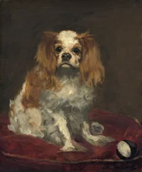 Een King Charles Spaniël, c.1866