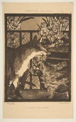 Kat en bloemen. Illustratie bij De Katten door Champfleury, 1869