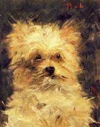 Kop van een hond - Bob, 1876