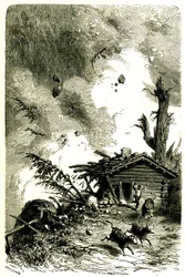 Lawine in de Alpen