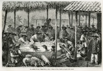 Hanenvechten en straatleven in Ibagué (Colombia), tekening van Riou, ter illustratie van het verhaal van Equatoriaal Amerika (Colombia, Ecuador, Peru), in 1875-1876, door Ed. André, reiziger op missie voor de Franse regering. Gravure in Le Tour du Monde