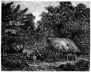 Guyana, Zuid-Amerika, 19e eeuw