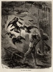 Jacht op uilen in de kerk van Sarayacu (Peru). Illustratie van Paul Marcoy