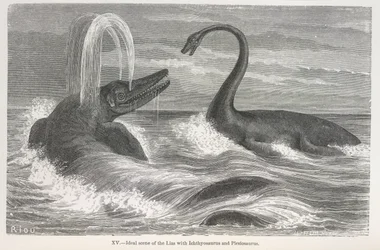 Ideaal tafereel van de lias met Ichthyosaurus en Plesiosaurus