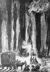 Toen de avond viel, werd er gekampeerd aan de voet van eucalyptusbomen, illustratie voor De kinderen van kapitein Grant, avonturenroman van Jules Verne (1828-1905), gravure van Adolphe François Pannemaker (geboren 1822) naar een tekening van Édouard Riou
