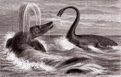 De Ichthyosaurus en de Plesiosaurus
