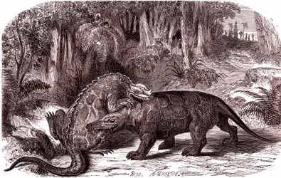 De Iguanodon en de Megalosaurus (gravure