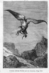 De kinderen van Kapitein Grant: De vogel ontvoerde Robert aan zijn kleren door Jules Verne, Editie Hetzel/Voyages Extraordinary 1868