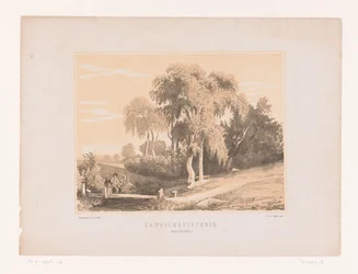 Landschapsstudie