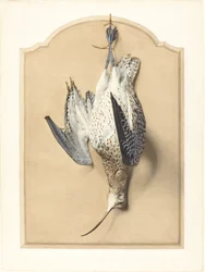 Trompe l