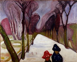 Allee in een Sneeuwstorm