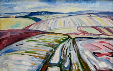 Veld in de Sneeuw