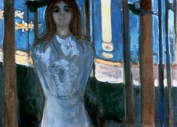 De Stem, 1893