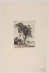 Landschap. Koeien bij een bos