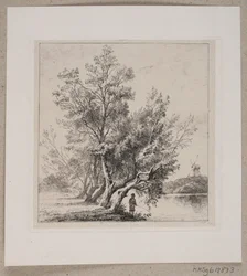 Wilgen bij de stadswal