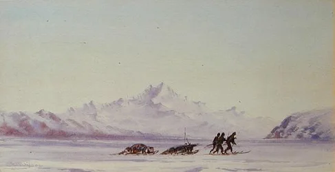 Arctisch tafereel