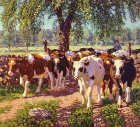Langs de Weg