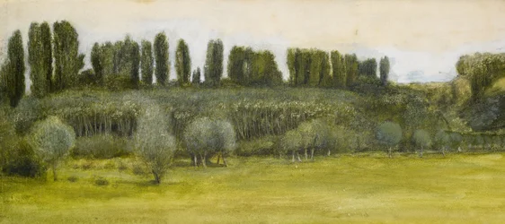 Landschap met wilgen en populieren, studie